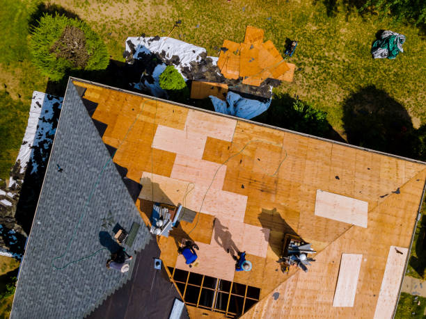 Best Metal Roofing Contractor  in Coosada, AL