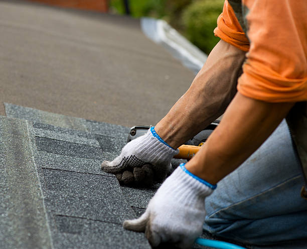 Best Storm Damage Roof Repair  in Coosada, AL