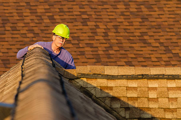 Best Roof Gutter Cleaning  in Coosada, AL